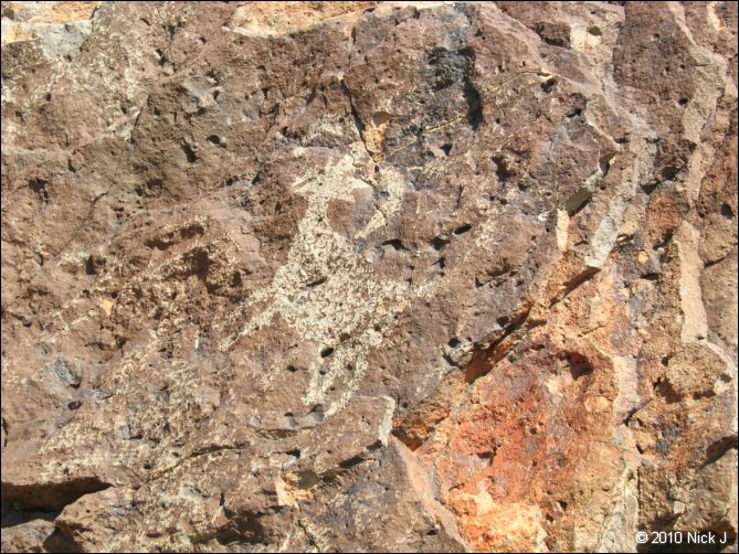 2010-10-09_picto-petro-glyph-inyo-sh-1848.jpg