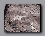Click to enlarge 2010-10-09_picto-petro-glyph-inyo-nj-017.jpg