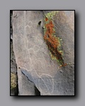 Click to enlarge 2010-10-09_picto-petro-glyph-inyo-nj-047.jpg