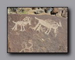 Click to enlarge 2010-10-09_picto-petro-glyph-inyo-nj-069.jpg