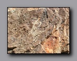 Click to enlarge 2010-10-09_picto-petro-glyph-inyo-sh-1848.jpg
