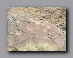 Click to enlarge 2010-10-09_picto-petro-glyph-inyo-sh-1851.jpg