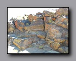Click to enlarge 2010-10-09_picto-petro-glyph-inyo-sh-1855.jpg