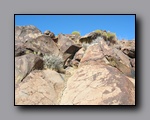 Click to enlarge 2010-10-09_picto-petro-glyph-inyo-sh-1857.jpg