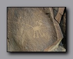 Click to enlarge 2010-10-09_picto-petro-glyph-inyo-sh-1866.jpg