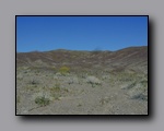 Click to enlarge 2005-03_deathv_12_flower.jpg