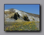 Click to enlarge 2005-03_deathv_21_flower.jpg