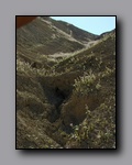 Click to enlarge 2005-03_deathv_48_flower_owlsheadmtn.jpg