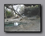 Click to enlarge 2005-03_saline_08_springs.jpg