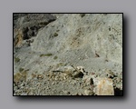 Click to enlarge 2006-02-21_snowflake_mine_rd_07.jpg