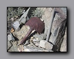 Click to enlarge 2009-04-inyo-lone-miner-nj-093.jpg