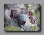 Click to enlarge 2009-04-inyo-lone-miner-nj-124.jpg