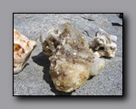 Click to enlarge 2009-04-inyo-lone-miner-nj-188.jpg