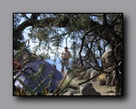 Click to enlarge 2009-04-inyo-lone-miner-nj-031.jpg
