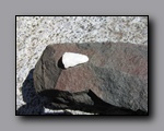 Click to enlarge 2009-04-inyo-lone-miner-nj-072.jpg