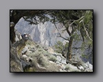 Click to enlarge 2009-04-inyo-lone-miner-nj-203.jpg