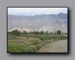 Click to enlarge 2009-04-inyo-lone-miner-nj-288.jpg