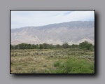 Click to enlarge 2009-04-inyo-lone-miner-nj-290.jpg