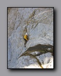 Click to enlarge 2008-10-inyo-saline-pat-keyes-030.jpg