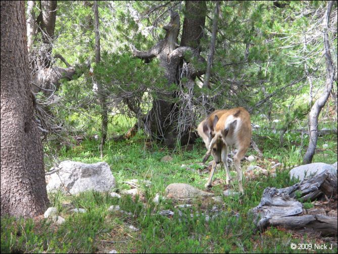 2009-07_jmt_evolution_134.jpg