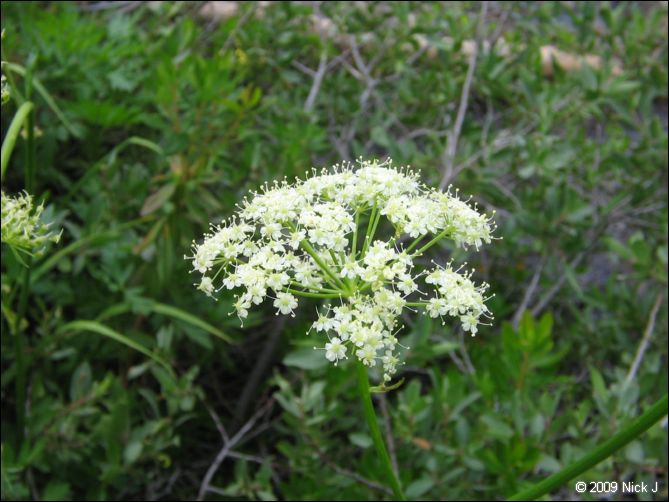 2009-07_jmt_evolution_335.jpg