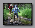 Click to start 2009-07_jmt_evolution_357.AVI