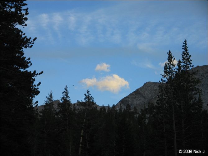 2009-07_jmt_evolution_365.jpg