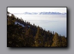 Click to enlarge 2008-01-19_snowshoe_mt_baldy_sclub_003-a.jpg