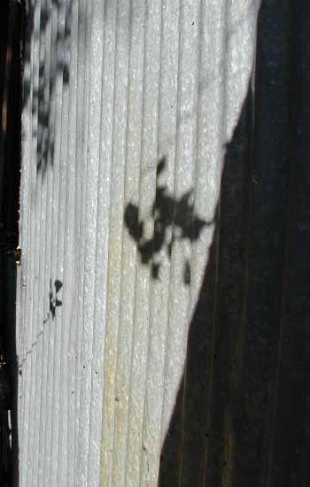 BentonHS_bldg_corrugated_A_01.jpg