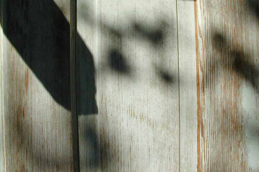 BentonHS_bldg_door_shadows_01.jpg