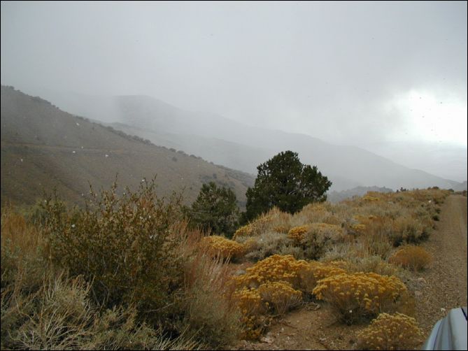pa150029.jpg