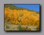 Click to enlarge pa140009.jpg