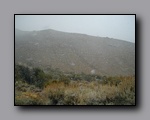 Click to enlarge pa150031.jpg