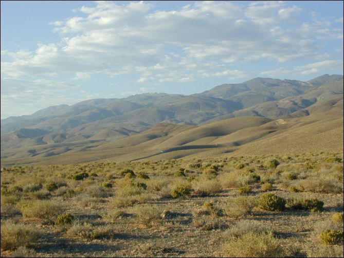 2005-07-05_white_17.jpg