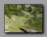 Click to enlarge jarbidge_2006-07_nj_019.jpg