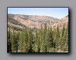 Click to enlarge jarbidge_2006-07_lw_045.jpg