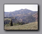 Click to enlarge jarbidge_2006-07_lw_066.jpg