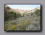 Click to enlarge jarbidge_2006-07_lw_070.jpg