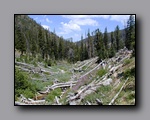 Click to enlarge jarbidge_2006-07_nj_124.jpg