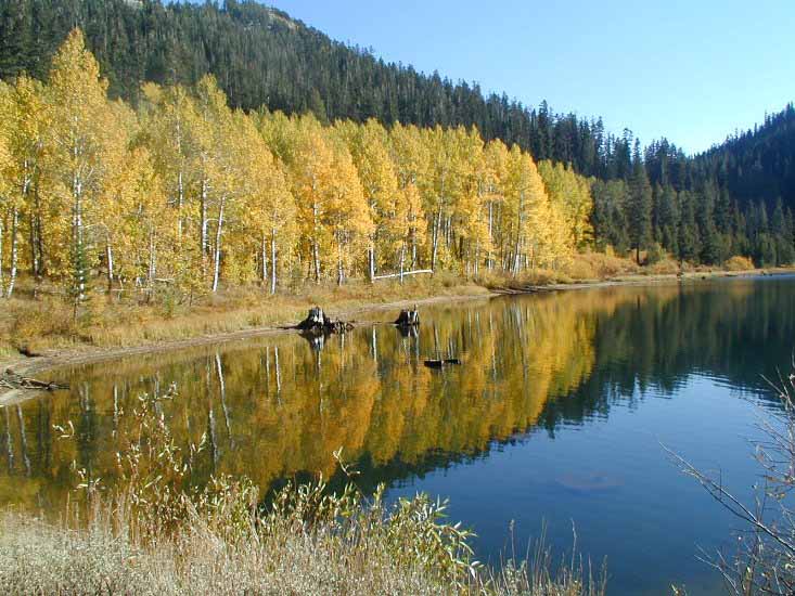 Click to enter Spooner Summit