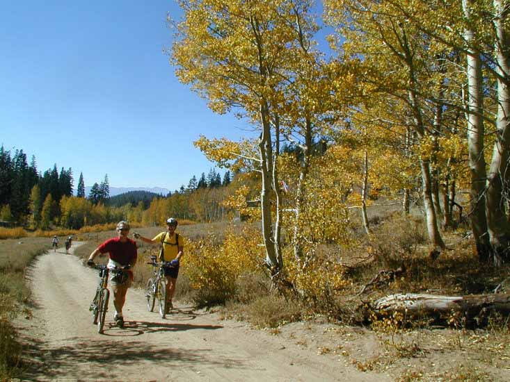 2002_Spooner_bike_Nick_Tony_A_01.jpg