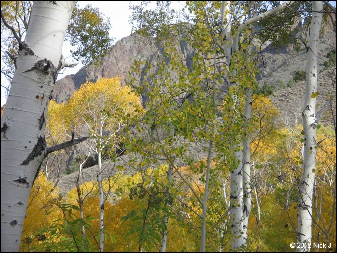 2012-10-07_nv_toiyabe_twin-rivers_nj_0001.jpg