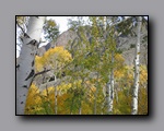 Click to enlarge 2012-10-07_nv_toiyabe_twin-rivers_nj_0001.jpg