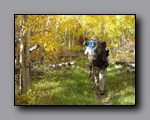 Click to enlarge 2012-10-07_nv_toiyabe_twin-rivers_nj_0007.jpg