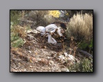 Click to enlarge 2012-10-07_nv_toiyabe_twin-rivers_nj_0008.jpg