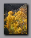 Click to enlarge 2012-10-07_nv_toiyabe_twin-rivers_nj_0010.jpg