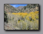 Click to enlarge 2012-10-07_nv_toiyabe_twin-rivers_nj_0011.jpg