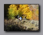 Click to enlarge 2012-10-07_nv_toiyabe_twin-rivers_nj_0012.jpg