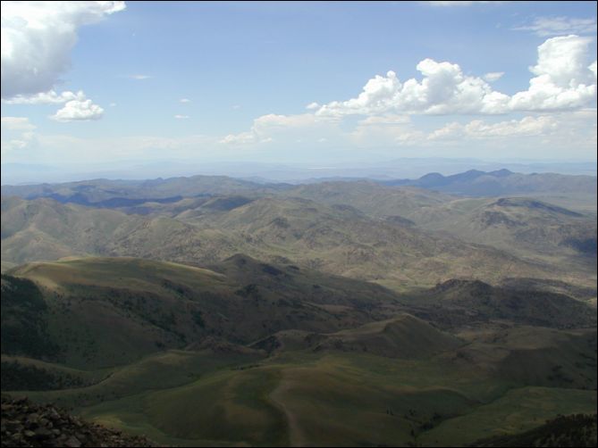 2005-08_dsurv_toiyabe_061.jpg