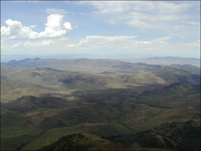 2005-08_dsurv_toiyabe_062.jpg